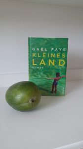 Gael Faye - Kleines Land