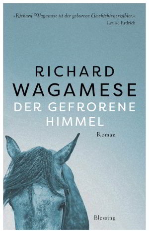 Richard Wagamese - Der geforene Himmel