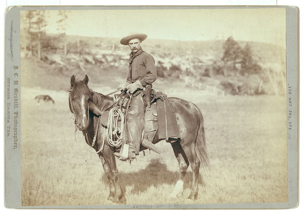Cowboy 1880