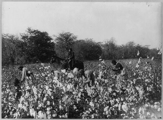Sklaven auf Baumwollfeld