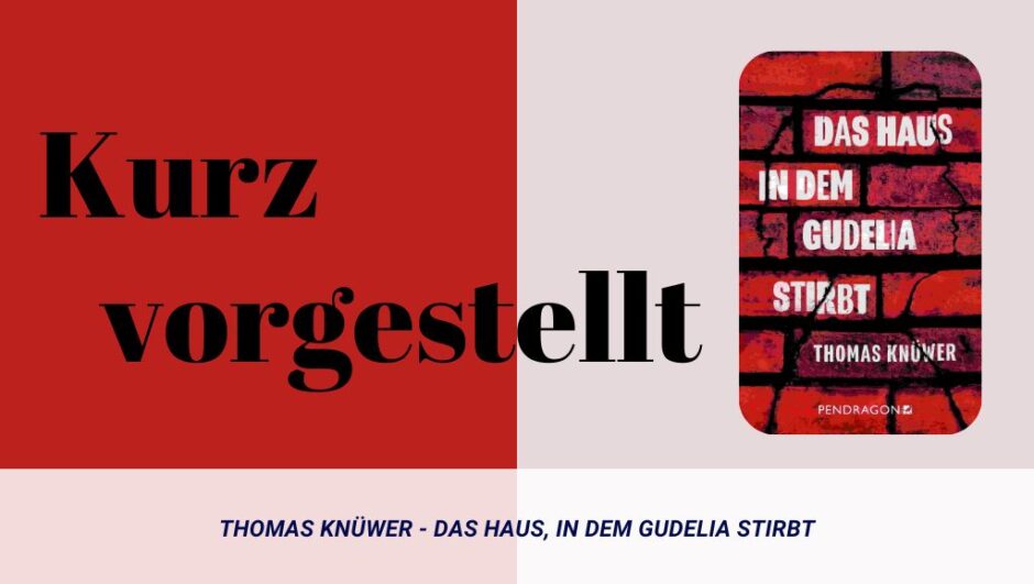 Thomas Knüwer - Das Haus in dem gudelia stirbt