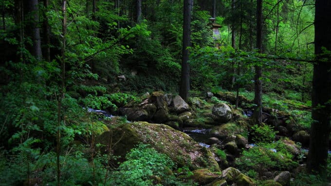 Schwarzwald
