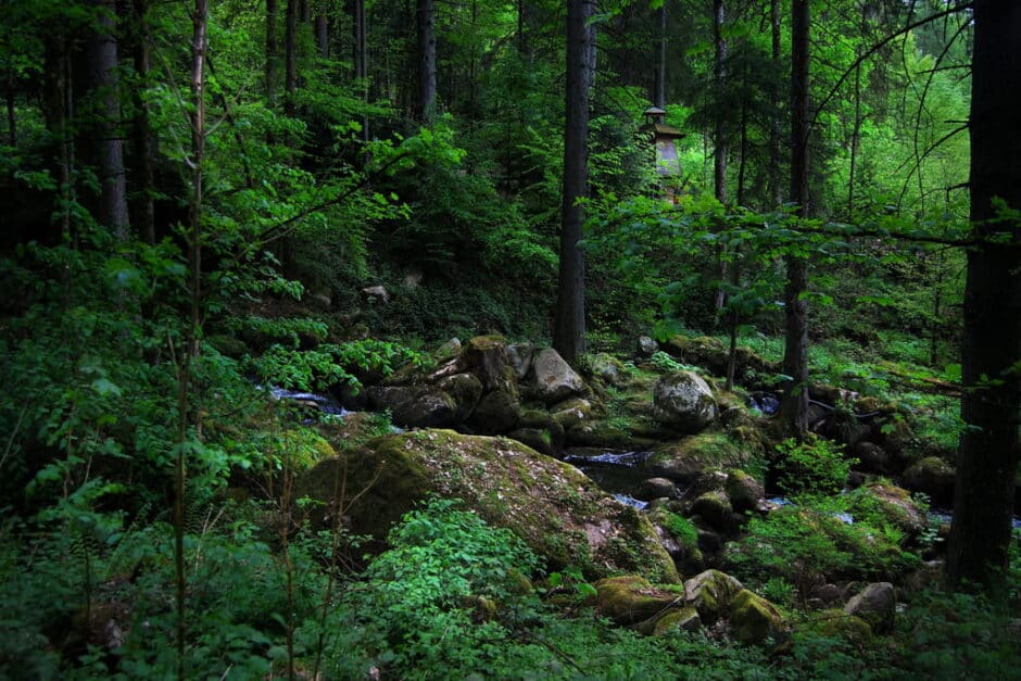 Schwarzwald