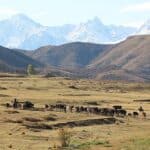 Tian Shan Gebirge Kirgisien