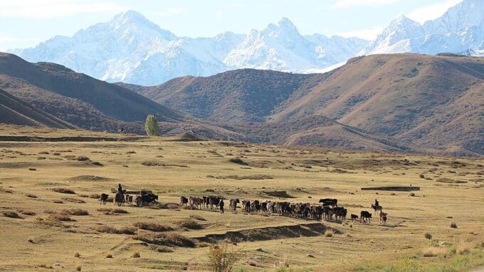 Tian Shan Gebirge Kirgisien