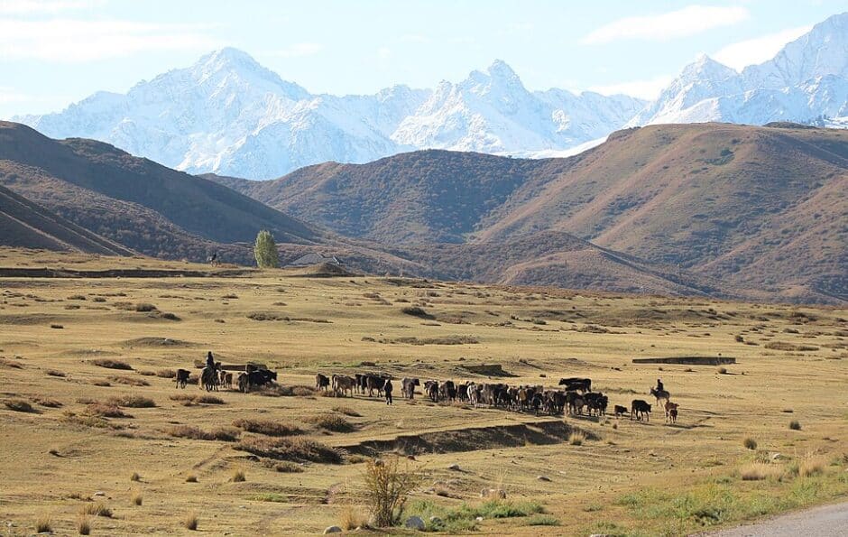 Tian Shan Gebirge Kirgisien